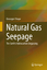 Natural Gas Seepage | The Earth¿s Hydrocarbon Degassing | Giuseppe Etiope | Buch | HC runder Rücken kaschiert | XIII | Englisch | 2015 | Springer International Publishing | EAN 9783319146003 - Etiope, Giuseppe