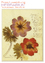 Herbarium Postkartenset / 10 Motive aus Rosa Luxemburgs Herbarium / Rosa Luxemburg / Taschenbuch / Deutsch / 2017 / Dietz Verlag Berlin GmbH / EAN 9783320023263 - Luxemburg, Rosa