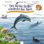 Der kleine Delfin entdeckt das Meer: Eine Geschichte mit vielen Sachinformationen. Hör gut hin - Frattini, Stéphane