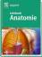 Lehrbuch Anatomie - Lippert, Herbert