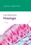 Lernkarten Histologie - Histologie - Bräuer, Lars; Scholz, Michael