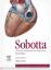 Sobotta, Atlas der Anatomie des Menschen Band 2 - Innere Organe - mit Zugang zum Elsevier-Portal - Paulsen, Friedrich; Waschke, Jens