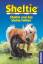 Sheltie und das kleine Fohlen (Sheltie - Das kleine Pony mit dem grossen Herz) - Clover, Peter