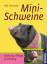 Minischweine: Haltung, Pflege, Erziehung - Elke Striowsky
