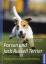 Parson und Jack Russell Terrier: Auswahl, Haltung, Erziehung, Beschäftigung (Praxiswissen Hund) - Penizek, Dorothea