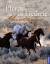Pferde in Freiheit - Mustangs - Hubert, Marie L; Klein, Jean L