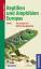 Reptilien und Amphibien Europas - 190 Arten mit Verbreitungskarten - Kwet, Axel