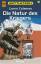 Battletech - Die Natur des Krieges - Coleman, Loren