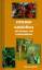 Gehölzflora mit Knospen- und Früchteschlüssel. Ein Buch zum Bestimmen der in Europa wildwachsenden und angepflanzten Bäume und Sträucher - Fitschen, Jost
