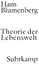 Theorie der Lebenswelt - Blumenberg, Hans