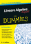 Lineare Algebra kompakt für Dummies - Haffner, E.-G.