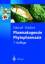 Pharmakognosie - Phytopharmazie - Hänsel, R.; Sticher, O.