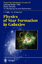 Physics of Star Formation in Galaxies - F. Palla