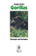Gorillas - Ökologie und Verhalten - Meder, Angela