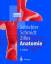 Anatomie: Zytologie, Histologie, Entwicklungsgeschichte, makroskopische und mikroskopische Anatomie des Menschen (Springer-Lehrbuch) - Schiebler, T.H.