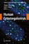 Human Cytomegalovirus - Herausgegeben:Shenk, Thomas E. Stinski, Mark F.