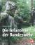 Die Infanterie der Bundeswehr - Scholzen, Reinhard
