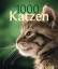 1000 Katzen - Adam, Birgit/Ralston, Dr. Beate/Christ, Julia/Christner-Benedetti, Ines