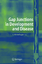 Gap Junctions in Development and Disease - Herausgegeben:Winterhager, Elke