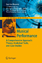 Musical Performance / A Comprehensive Approach: Theory, Analytical Tools, and Case Studies / Guerino Mazzola / Buch / Computational Music Science / Englisch / 2011 / Springer Berlin - Mazzola, Guerino