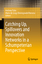 Catching up, Spillovers and Innovation Networks in a Schumpeterian Perspective Andreas Pyka (u. a.) Buch Englisch 2011 - Pyka, Andreas