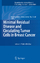 Minimal Residual Disease and Circulating Tumor Cells in Breast Cancer / Michail Ignatiadis (u. a.) / Buch / Recent Results in Cancer Research / HC runder Rücken kaschiert / XIV / Englisch / 2012 - Ignatiadis, Michail