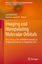 Imaging and Manipulating Molecular Orbitals Proceedings of the 3rd AtMol International Workshop, Berlin 24-25 September 2012 - Grill, Leonhard und Christian Joachim