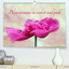 Bluetentraeume in violett und pink (Premium, hochwertiger DIN A2 Wandkalender 2021, Kunstdruck in Hochglanz) - Sarnade, k. A.