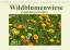 Wildblumenwiese Insektenparadies (Tischkalender 2022 DIN A5 quer) - Kleemann, Claudia