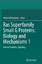 Ras Superfamily Small G Proteins: Biology and Mechanisms 1 - Herausgegeben:Wittinghofer, Alfred