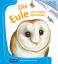 Die Eule und andere Nachttiere - Meyers Kinderbibliothek - Pérols, Sylvaine