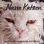 Nasse Katzen / Ein feucht, fröhliches Fotobuch / Bibi Hübsch / Taschenbuch / 42 S. / Deutsch / 2022 / 27amigos / EAN 9783750515710 - Hübsch, Bibi