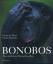 Bonobos. - Die zärtlichen Menschenaffen - - Waal, Frans de; Lanting, Frans