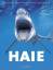Haie - Faszinierende und bedrohte Jäger der Meere - Parker, Steve