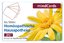 Homöopathische Hausapotheke - mindCards - Milek, Iris