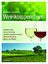 Weinkompendium - Botanik - Sorten - Anbau - Bereitung - Chemische Zusammensetzung - Weiterverarbeitung - Wein in der Medizin - Bergner, Karl Gustav Lemperle, Edmund
