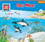 Das Meer / Was ist was junior Bd.17 (1 Audio-CD) - Habersack, Charlotte;Anders, Luis-Max