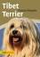 Tibet Terrier | Annette Schmitt | Buch | 128 S. | Deutsch | 2014 | Ulmer Eugen Verlag | EAN 9783800176359 - Schmitt, Annette