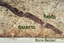 deserts and fields | Boris Becker | Buch | 2011 | WBG Philipp von Zabern | EAN 9783805343060 - Becker, Boris