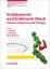 Endotoxemia and Endotoxin Shock Disease, Diagnosis and Therapy C. Ronco Buch Contributions to Nephrology Englisch 2010 - Ronco, C.