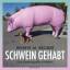 Schwein gehabt - Eine Autobiografie in Bildern - Mit Essays von Elke Schmitter und Leon de Winter. Sonderangebot! Neuware! - Broder, Henryk M.