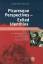 Picaresque Perspectives - Exiled Identities - A Structural and Methodological Analysis of the Picaresque as a Literary Archetype in the Works of James Leslie Mitchell - Ehland, Christoph