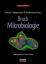 BROCK - Mikrobiologie - Madigan, Michael T; Martinko, John M; Parker, Jack