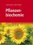 Pflanzenbiochemie - Hans-Werner Heldt Birgit Piechulla