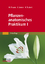 Pflanzenanatomisches Praktikum I / Zur Einführung in die Anatomie der Vegetationsorgane der Samenpflanzen / Wolfram Braune (u. a.) / Taschenbuch / Paperback / II / Deutsch / 2009 / EAN 9783827422897 - Braune, Wolfram
