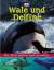 Wale und Delfine. Übers. Cornelia Panzacchi. Red. Angela Obermaier - Bingham, Caroline (Mitwirkender) und Angela (Herausgeber) Obermaier