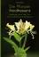 Die Pflanzen Nordhessens / Streifzüge durch die Flora des nordhessischen Berglands, Farbbildband / Thomas Meyer / Buch / 260 S. / Deutsch / 2011 / Wartberg Verlag P. Wieden / EAN 9783831322817 - Meyer, Thomas