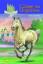 Reitinternat Ulmenhorst: Galopp ins Ungewisse (Band 3) - Binder, Sibylle Luise