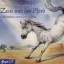 Zeus und das Pferd. CD. [Audiobook] - Lessing