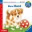 Mein Hund / Wieso? Weshalb? Warum? Junior Bd.41 (Audio-CD) - Weller, Ursula;Mennen, Patricia